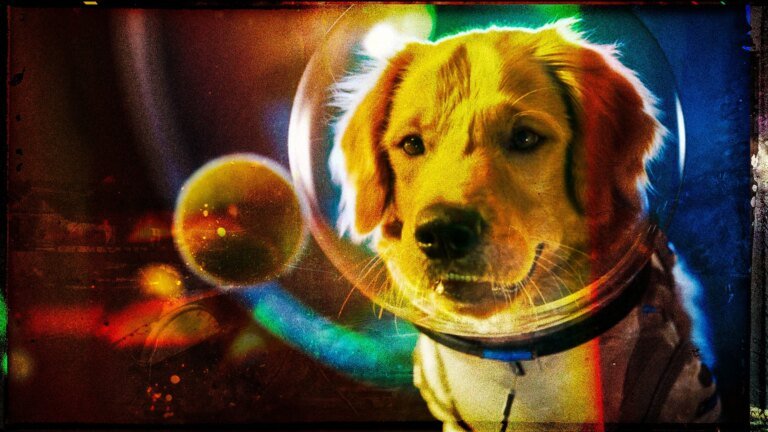 Sora is dead. Does OpenAI shutting down its video app mean the AI bubble is bursting?