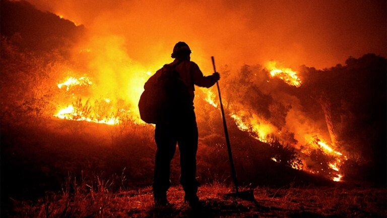 U.S. Forest Service closing research facilities: What it means for wildfire response