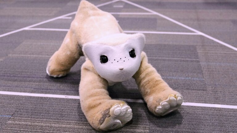 Roomba vacuum pioneer unveils prototype of artificial pet named Familiar