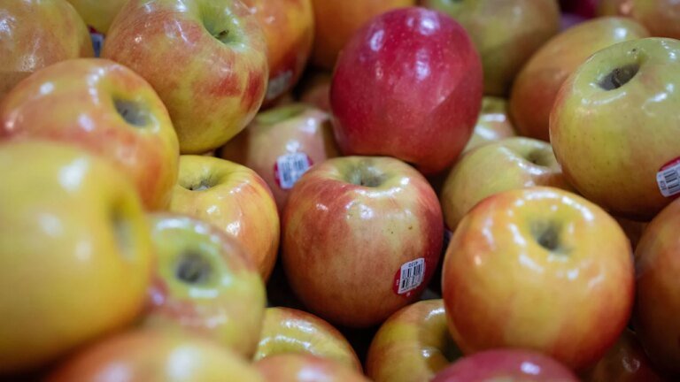 Soaring gas prices aren’t the only reason Americans are paying more for groceries
