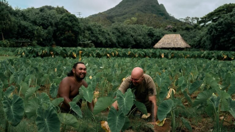 3 Successes in Hawaiian Foodways Restoration