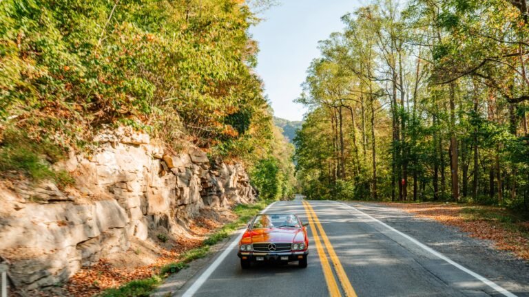 Road Tripping West Virginia’s Cranberry Corridor
