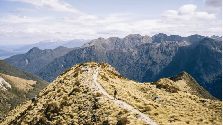 Trail Runner is Bolder, Deeper, and Weirder Than Ever