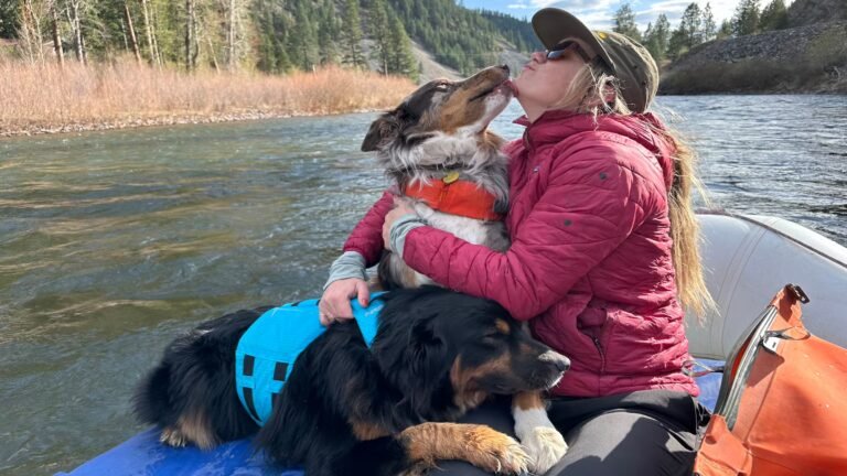 The Best Dog Gear for Your Summer Hiking Trip