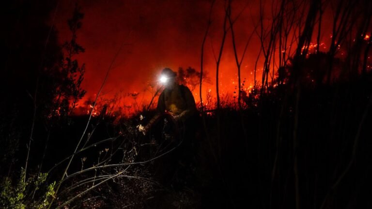 10 Wildfire Survival Lessons From Veteran Firefighters