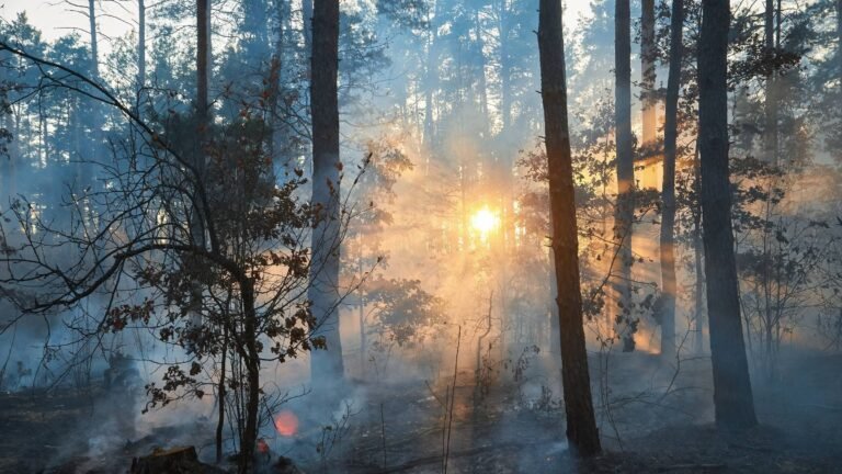 Should I Cancel My National Park Trip Because of Wildfires?