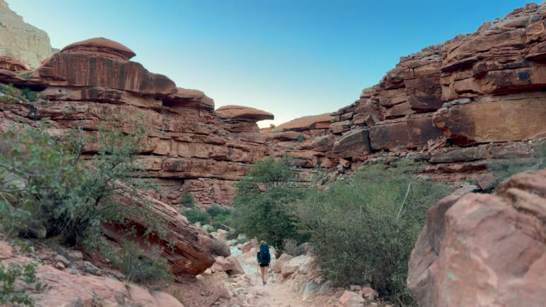 Trail Lessons and New Rules