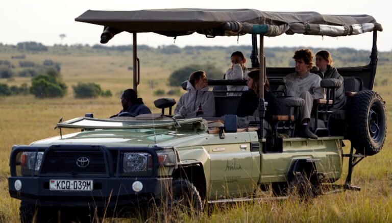Electric Safaris in Africa Are Changing How Close We Can Get to Wildlife