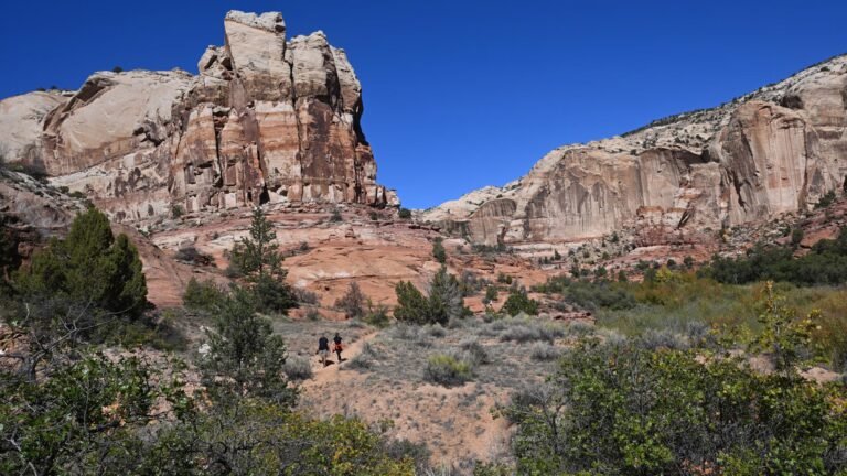 6 Takeaways from the Slashing of Bears Ears and Grand Staircase