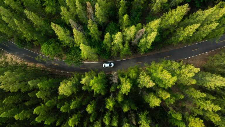 The Most EV-Friendly Mountain Towns in the U.S.