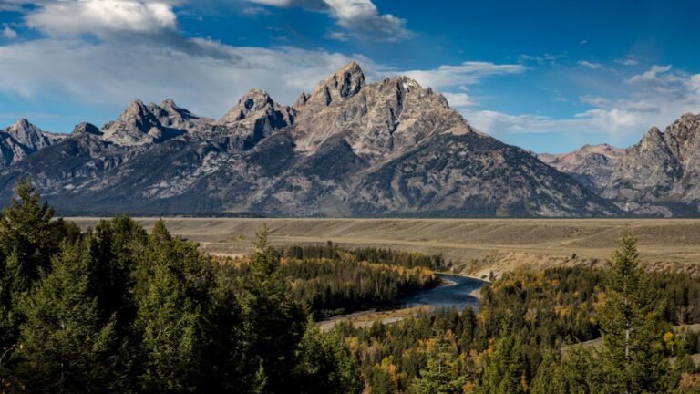Lost Hikers Rescued After Bear Encounter in Wyoming’s Thorofare Valley
