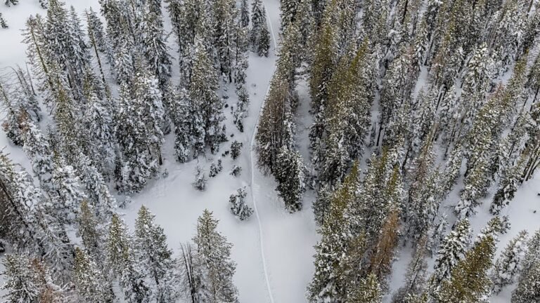 Blackbird Mountain Guides Faces $151K in Fines For Tahoe Avalanche