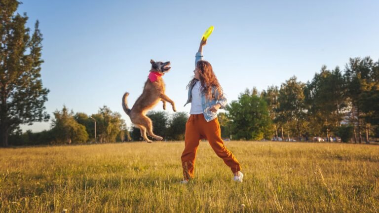 How to Support Your Adventure Dog’s Health—Now and for Years to Come