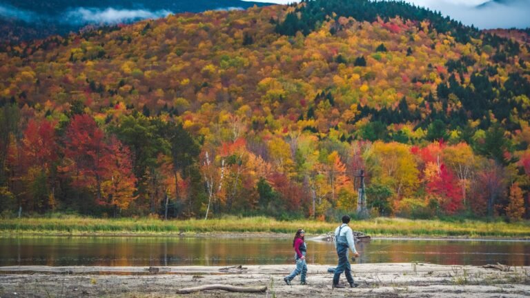 2026 Leaf Peeping Schedule, According to the Farmers’ Almanac