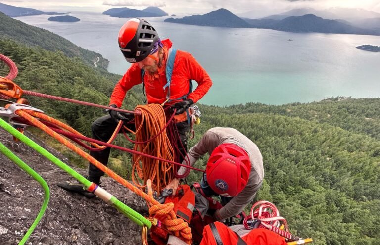 How 12 Wasp Stings Triggered a Backcountry Helicopter Rescue