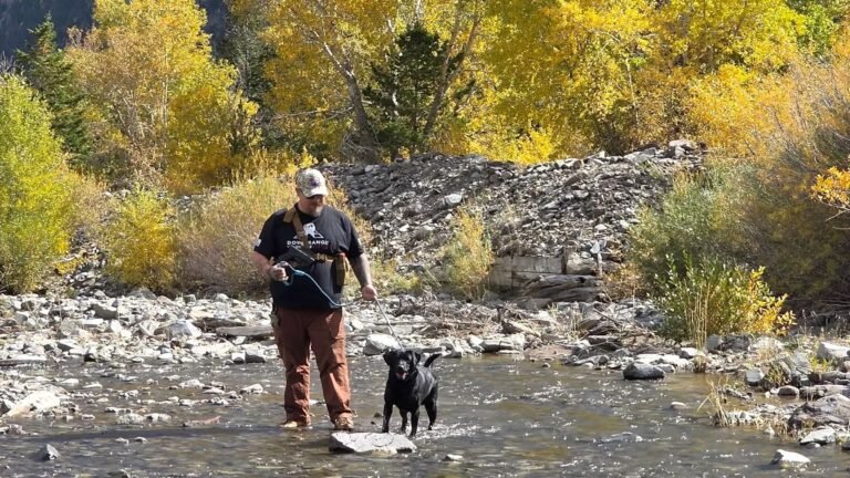 Wyoming Photographer Fights Mountain Lion to Save Dog