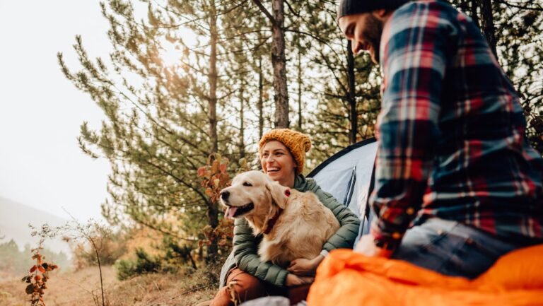 Your Fall Activity Roundup