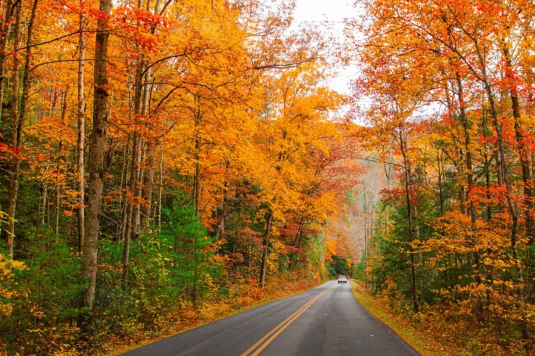 National Parks Fall Colors Calendar