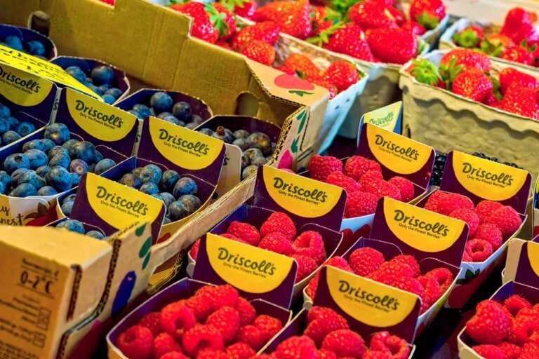 Driscoll’s Says China Stole Its Berry Secrets