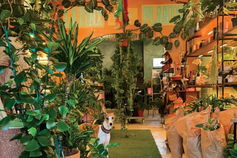 “We Constantly Hear ‘Wow'”: What Customers Actually Notice