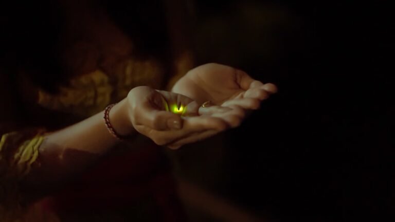 What Fireflies Teach Us About Sleep, Light Pollution, and Longevity
