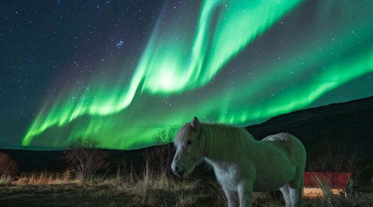 How to See the Northern Lights After Solar Maximum