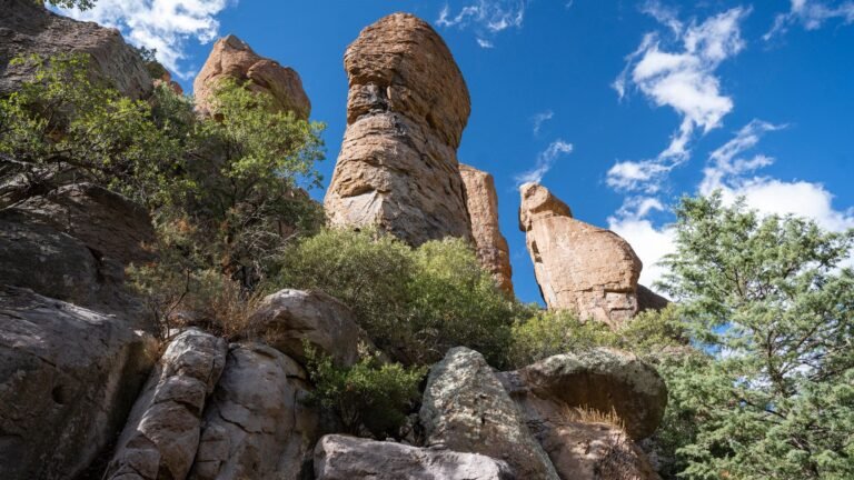America’s Newest National Park Sparks an Expansion Debate